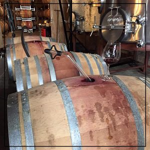 wine barrels in factory